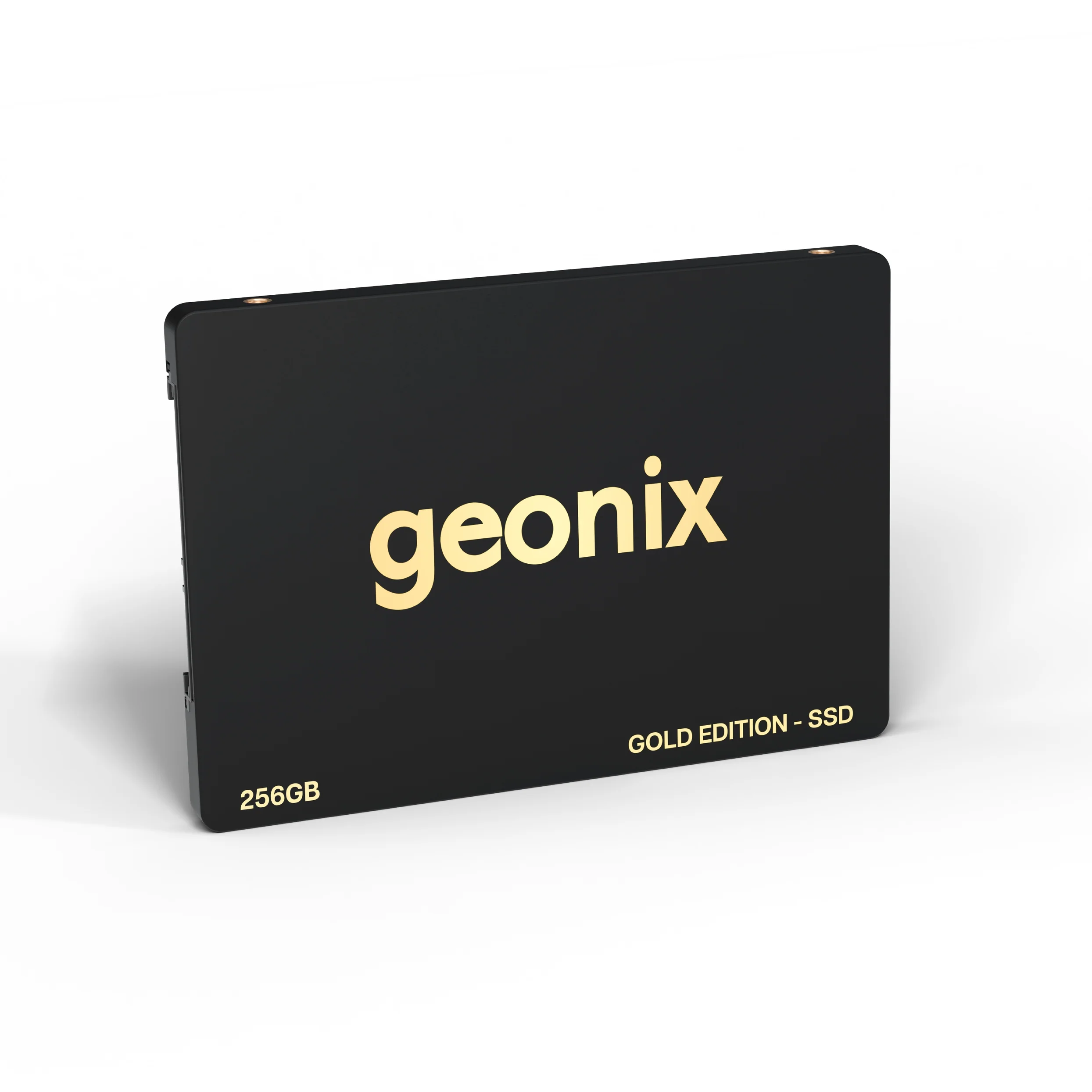 256 SATA SSD GEONIX